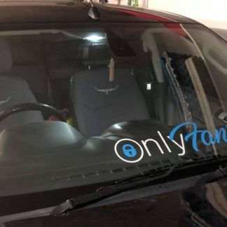 OnlyFans Style Banner